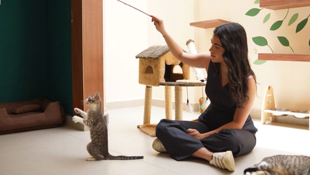 PetCafé: um espaço gastronômico inédito em minas para os amantes dos animais