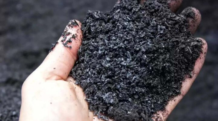 NetZero e INNOVX anunciam parceria para acelerar a implantação do biochar no Hemisfério Sul  