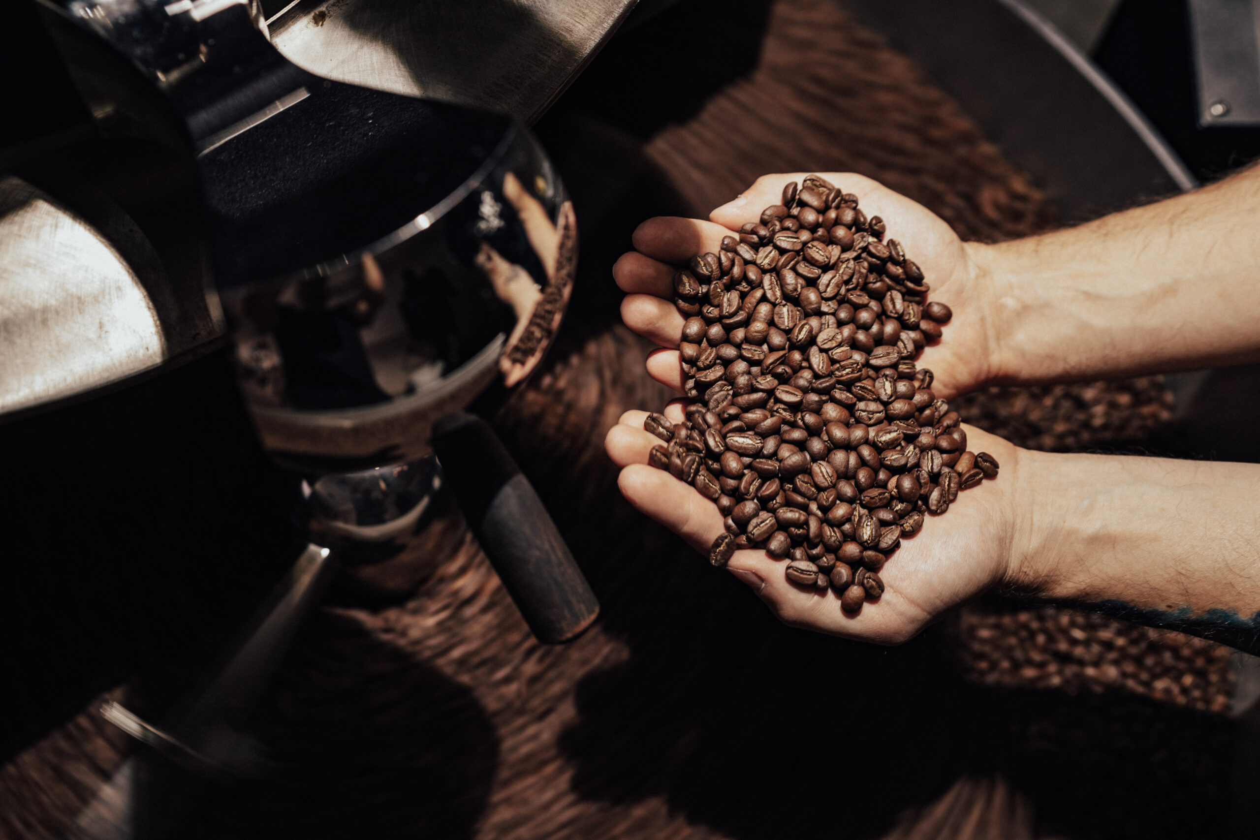 man-holding-coffee-beans-scaled Notícias