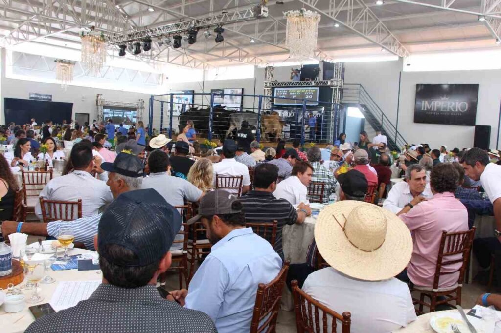 Megaleilão em Minas Gerais aumenta em 400% a oferta de bovinos para última edição de 2024