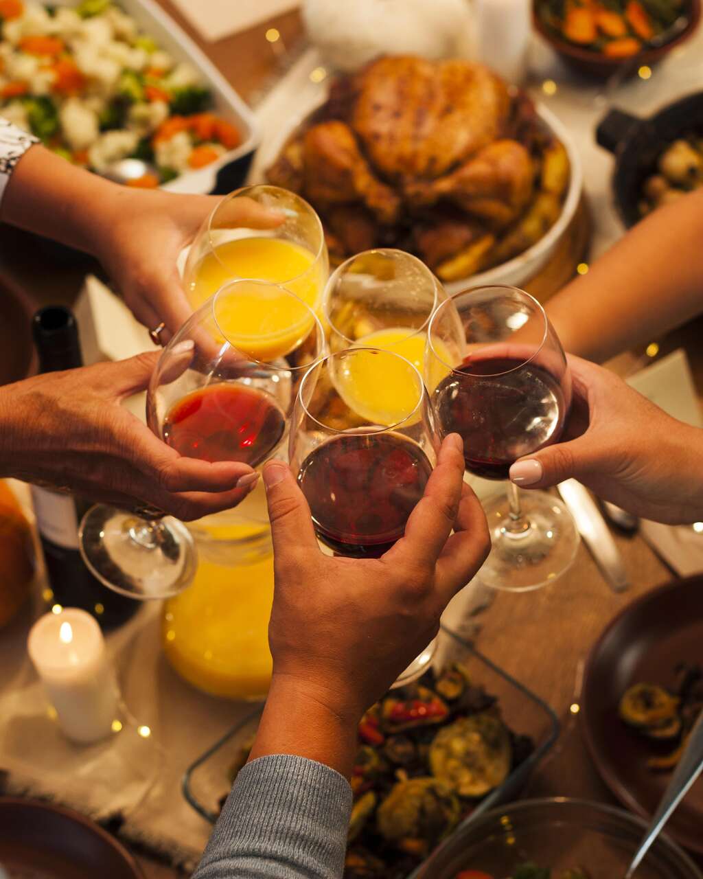 high-angle-people-toasting-thanksgiving_Easy-Resize.com_ Notícias