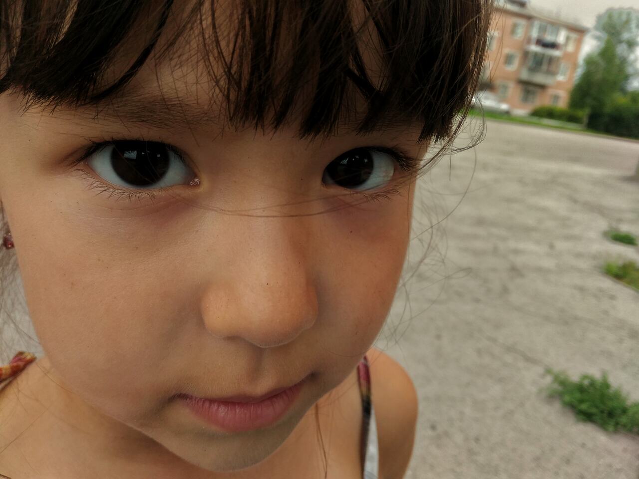 close-up-portrait-girl-yard_Easy-Resize.com_ Notícias