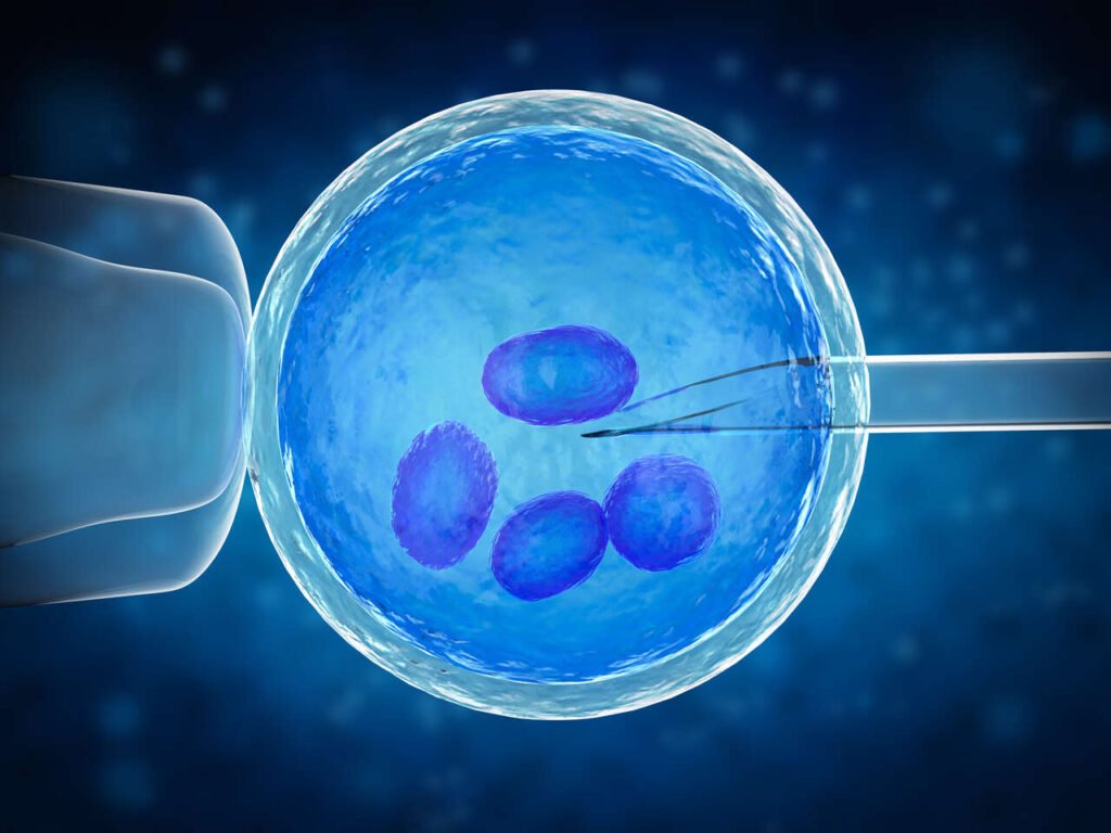 Apoio psicológico é fundamental durante tratamentos de reprodução assistida