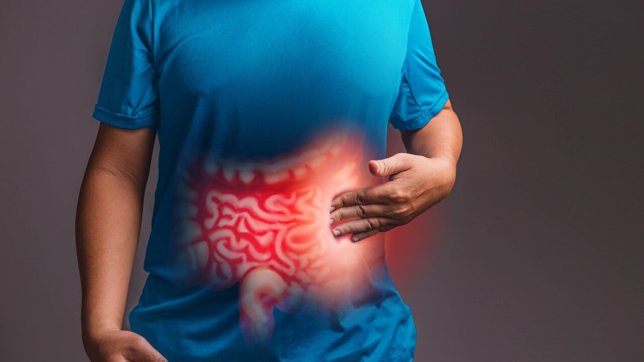 intestino-atma-soma_Easy-Resize.com_ Notícias