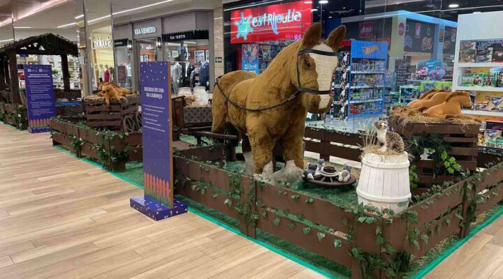 Festa Junina: DiamondMall terá brinquedos temáticos gratuitos para as crianças