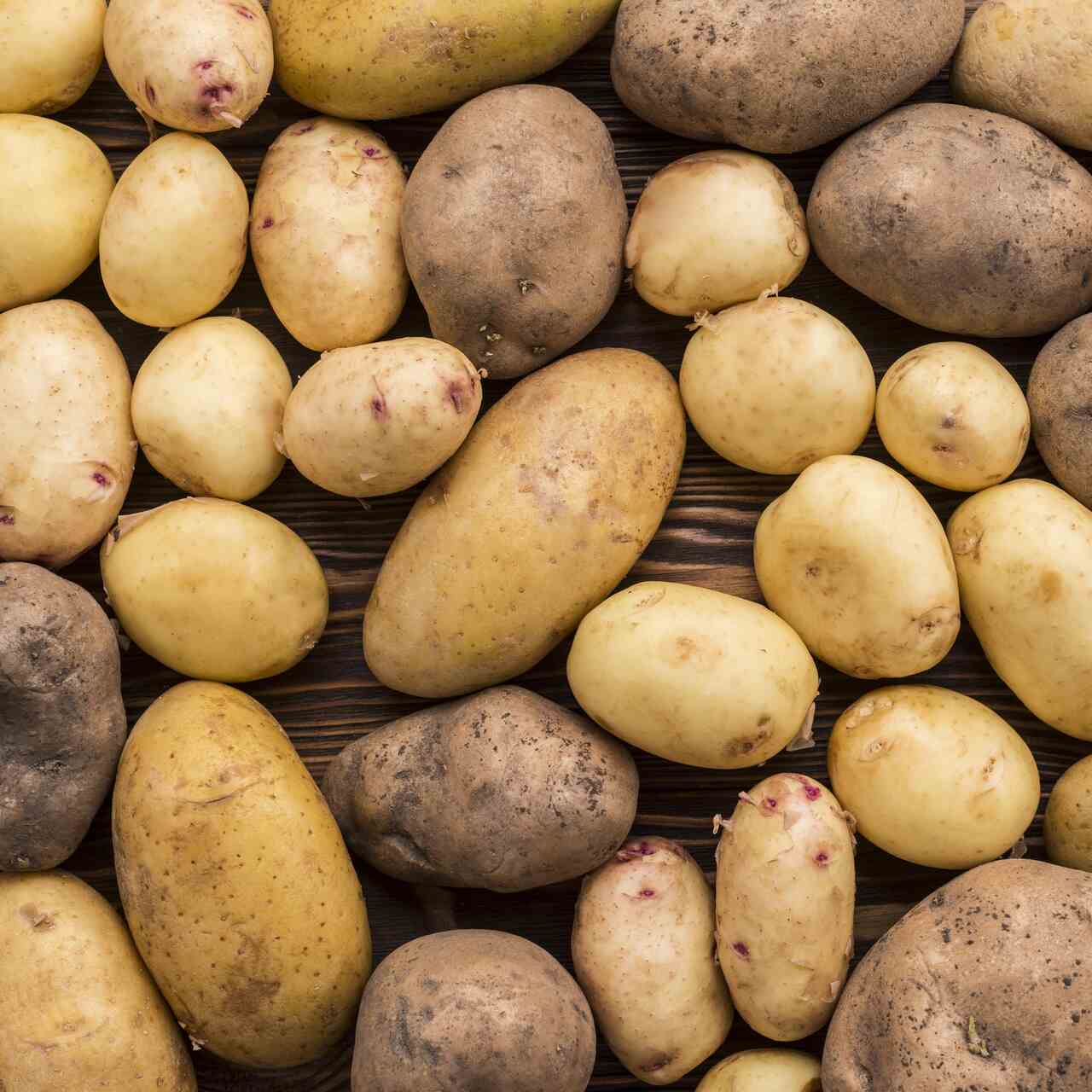 batata Notícias
