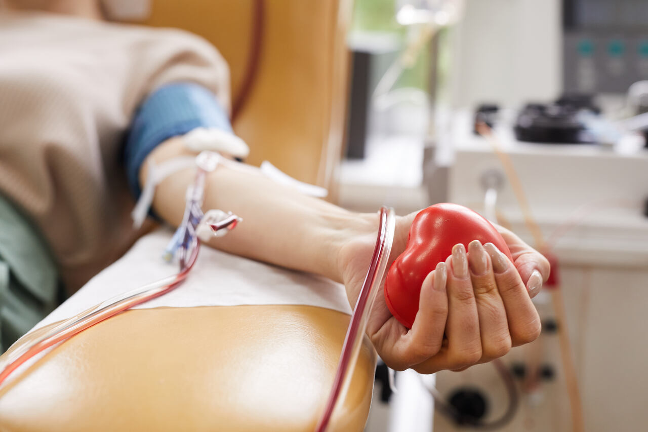 doacao-de-sangue Notícias