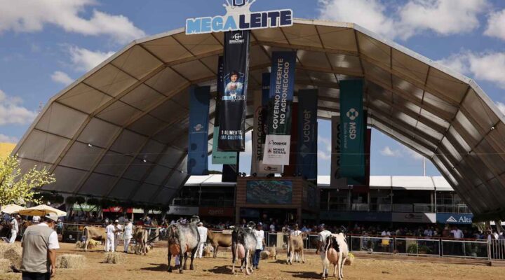 Megaleite 2025 começa nesta terça em Belo Horizonte