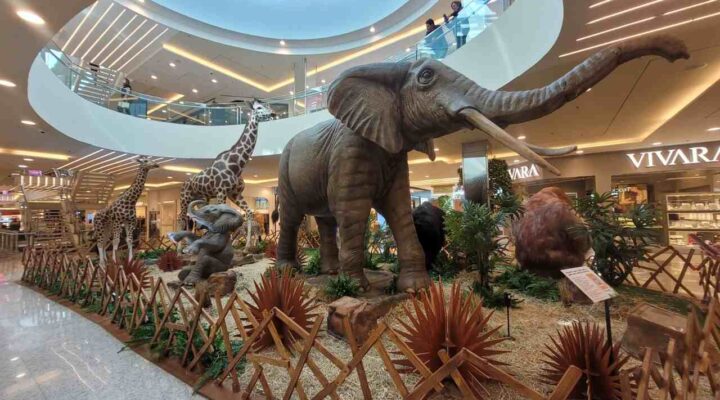 BH Shopping prepara aventura selvagem para toda a família com as Férias no Zoo