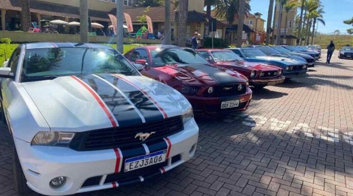 Mustangs no Parque do Palácio: exposição de carros clássicos movimenta o sábado (20/07)