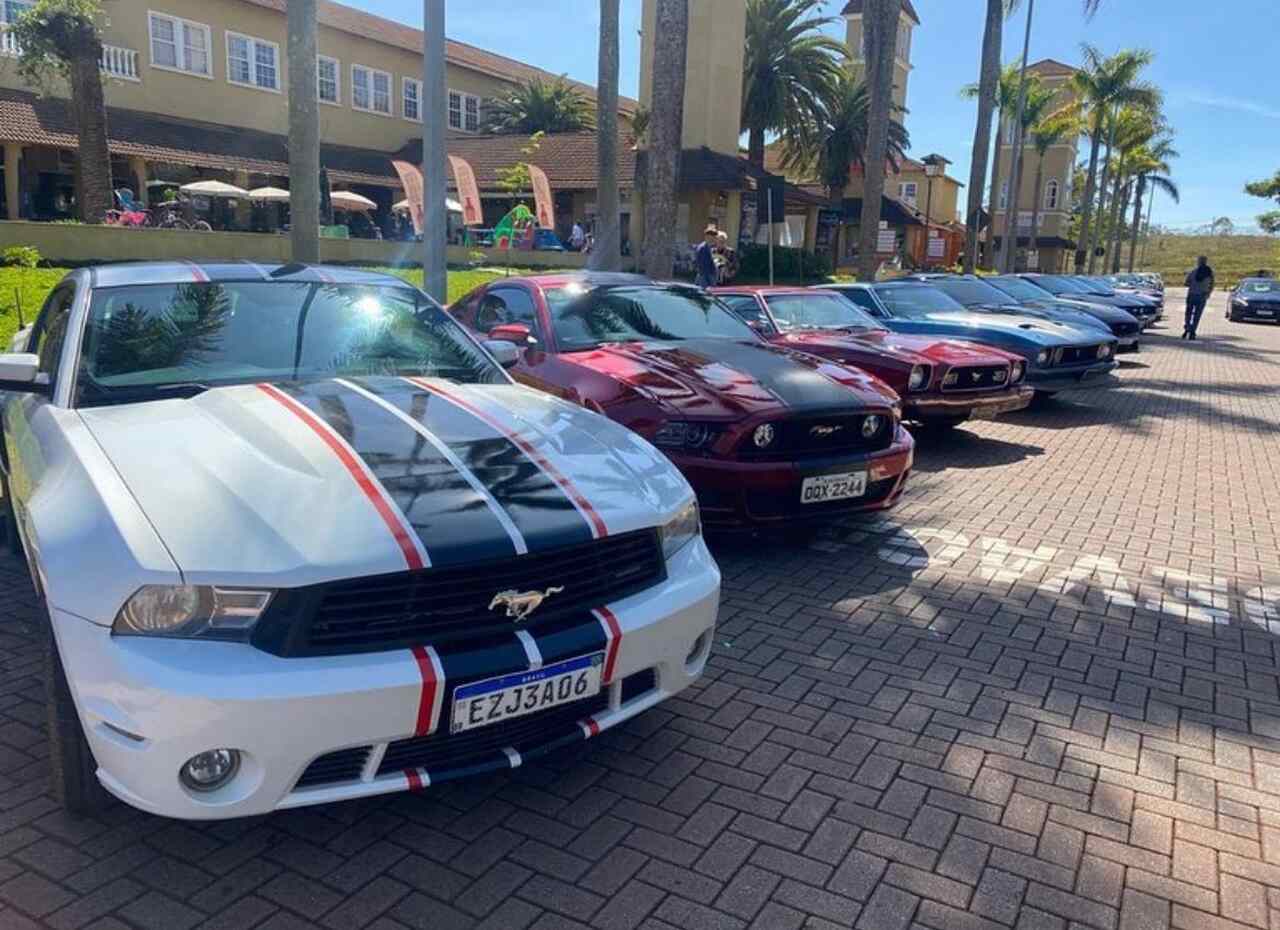 mustang Notícias