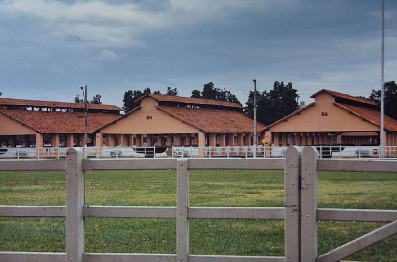 parque-da-gameleira Notícias