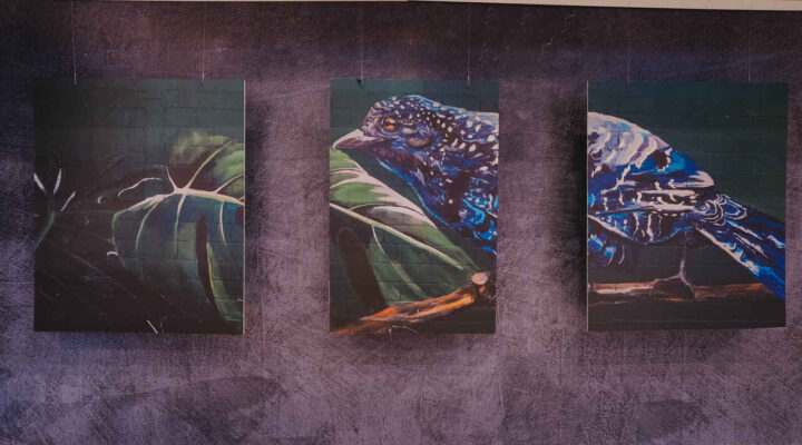 BH Shopping recebe exposição da artista visual Priscila Amoni