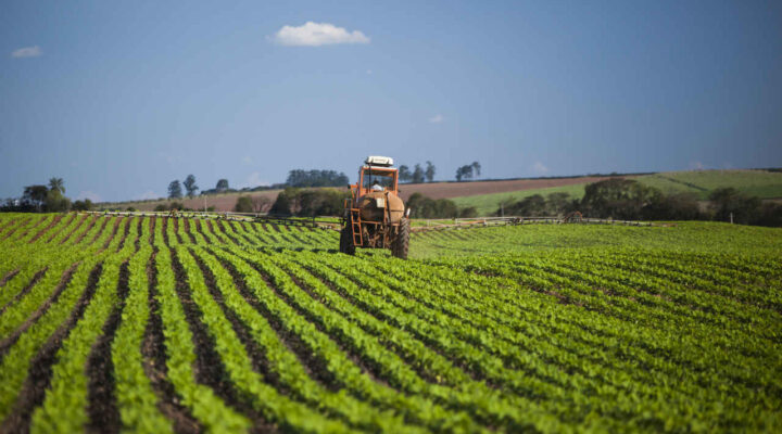 Dia do Produtor Rural: Sebrae Minas estimula negócios inovadores e sustentáveis no campo