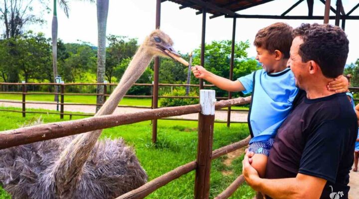 Parque do Avestruz promove fim de semana especial para celebrar Dia dos Pais