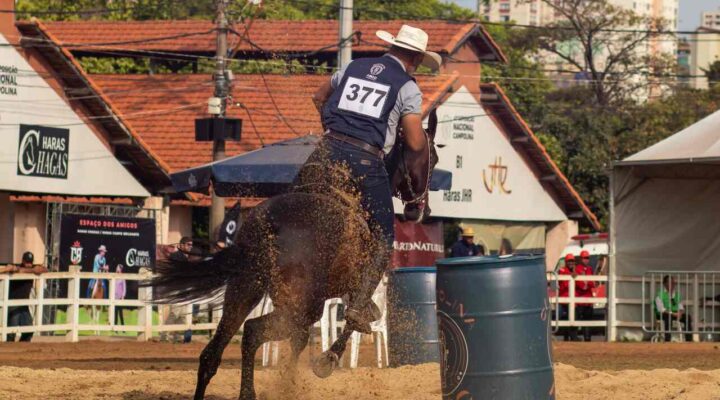 Gameleira recebe a 45ª Exposição Nacional do Cavalo Campolina