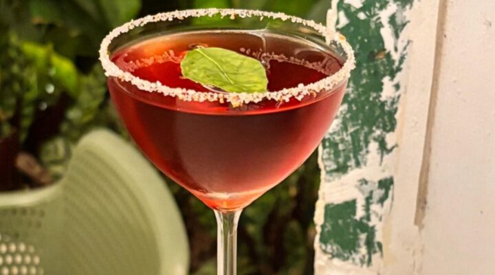 Negroni Week 2025 agita BH com drinques autorais, brindes e experiências gastronômicas