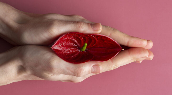 Dia do Sexo: mitos e verdades sobre a libido feminina