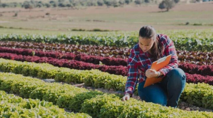Técnicos agrícolas conquistam o direito de emitir certificados fitossanitários