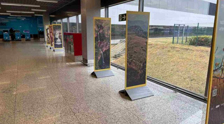 Inhotim, Instituto Motiva e BH Airport realizam exposição sobre o bioma Cerrado