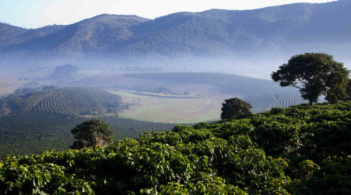 Compradores de 11 países visitam produtores de café da Mantiqueira de Minas