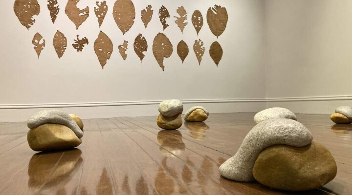 Novas Naturezas, de Alexandre Brandão, ocupa o SESI Museu de Artes e Ofícios