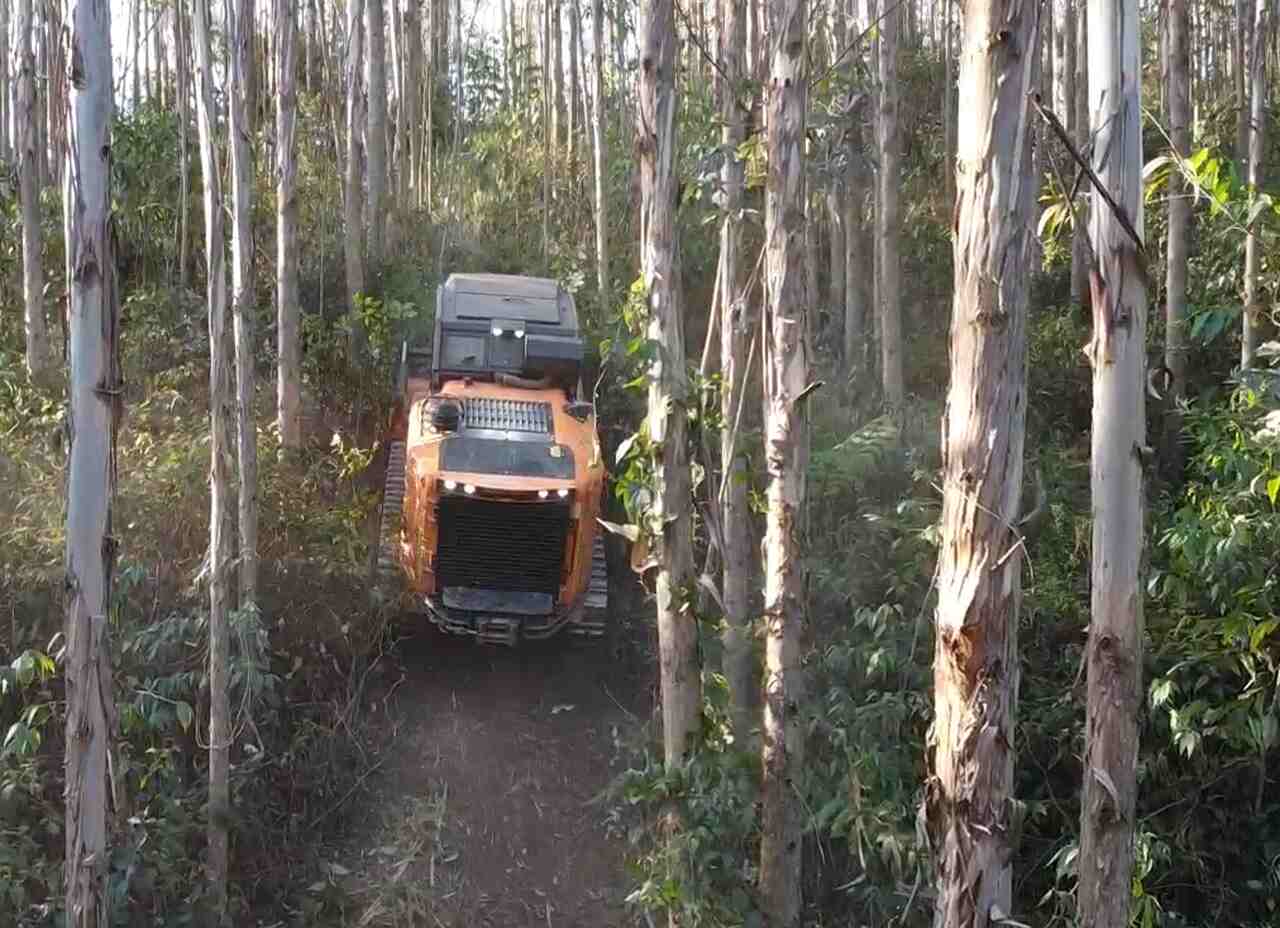 Rocada-mecanizada_Easy-Resize.com_ Notícias