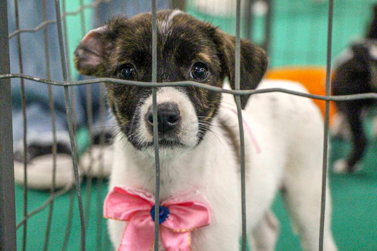 WhatsApp-Image-2025-10-20-at-14.22.50_Easy-Resize.com-1 Notícias