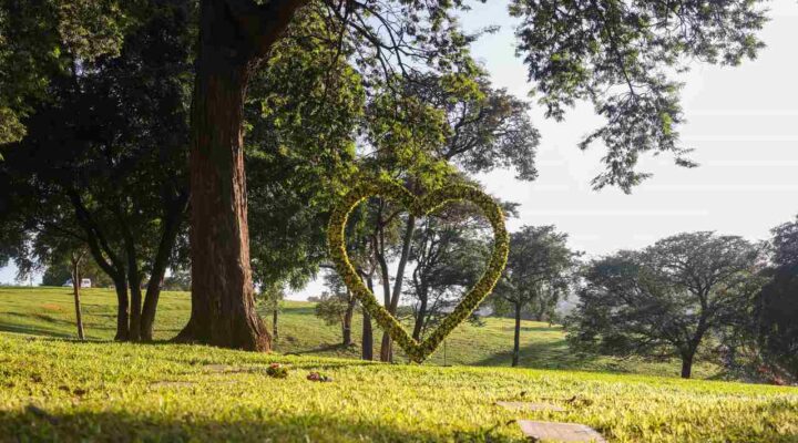 Bosque da Esperança Celebra o Dia de Finados com a Homenagem Poética e Musical “A Aquarela da Vida”