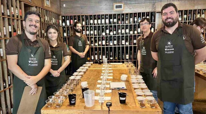 Concurso Estadual de Qualidade dos Cafés de MG realiza prova final no Verdemar com amostras recordes