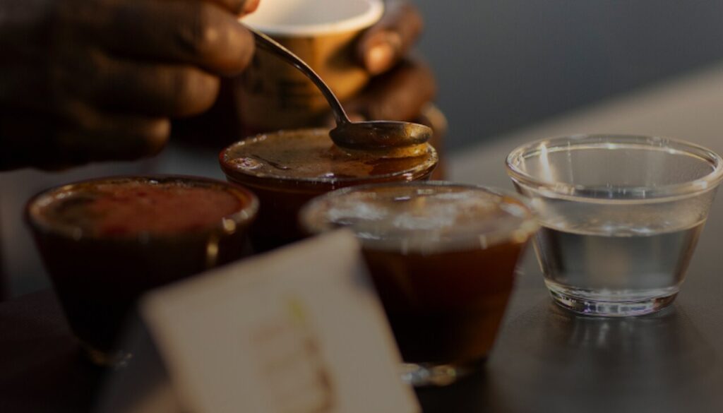 Semanda-do-Cafe-1024x585 Com o tema Café em Transformação – Inovação, Sustentabilidade e Oferta do Mercado Global, Semana Internacional do Café apresenta sua 13ª edição