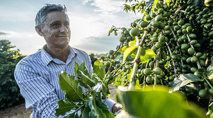 Minas na agenda da cafeicultura regenerativa