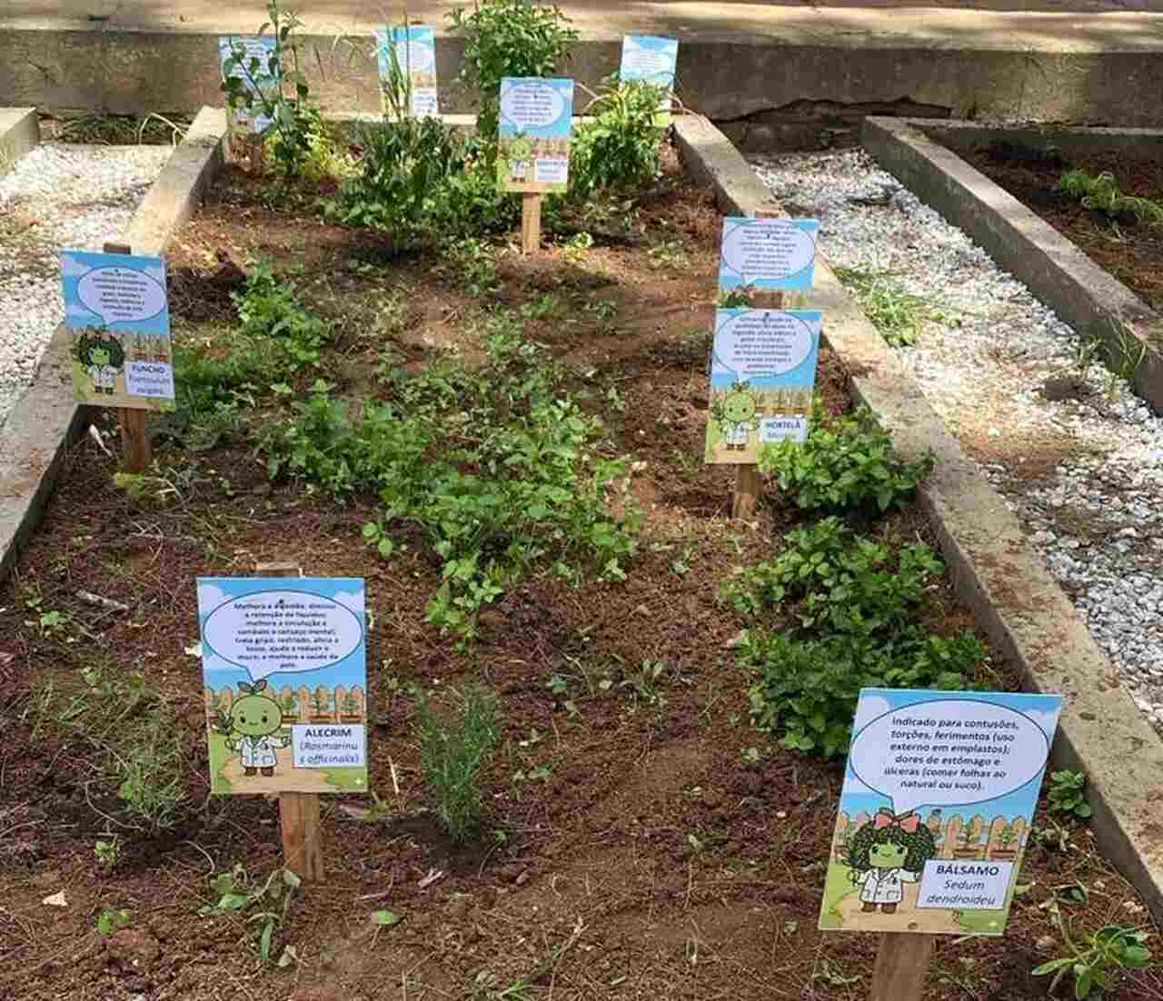 03_horta-_Easy-Resize.com_ Notícias