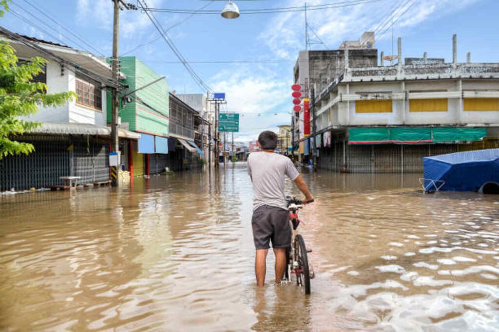 Após temporais na Zona da Mata de Minas, famílias têm direito a reparação?