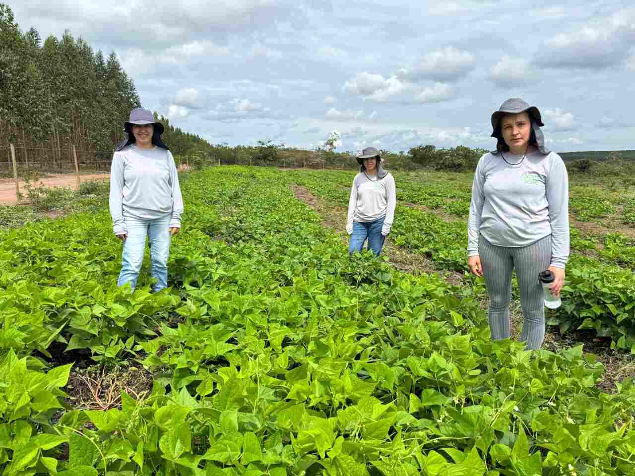 Foto-4-Raizes-do-Vale-alcanca-24-comunidades-e-cerca-de-300-familias-do-Vale-do-Jequitinhonha_Easy-Resize.com_ Notícias