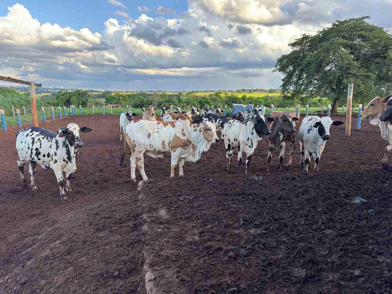 IMG-20251218-WA0032_Easy-Resize.com_ Notícias