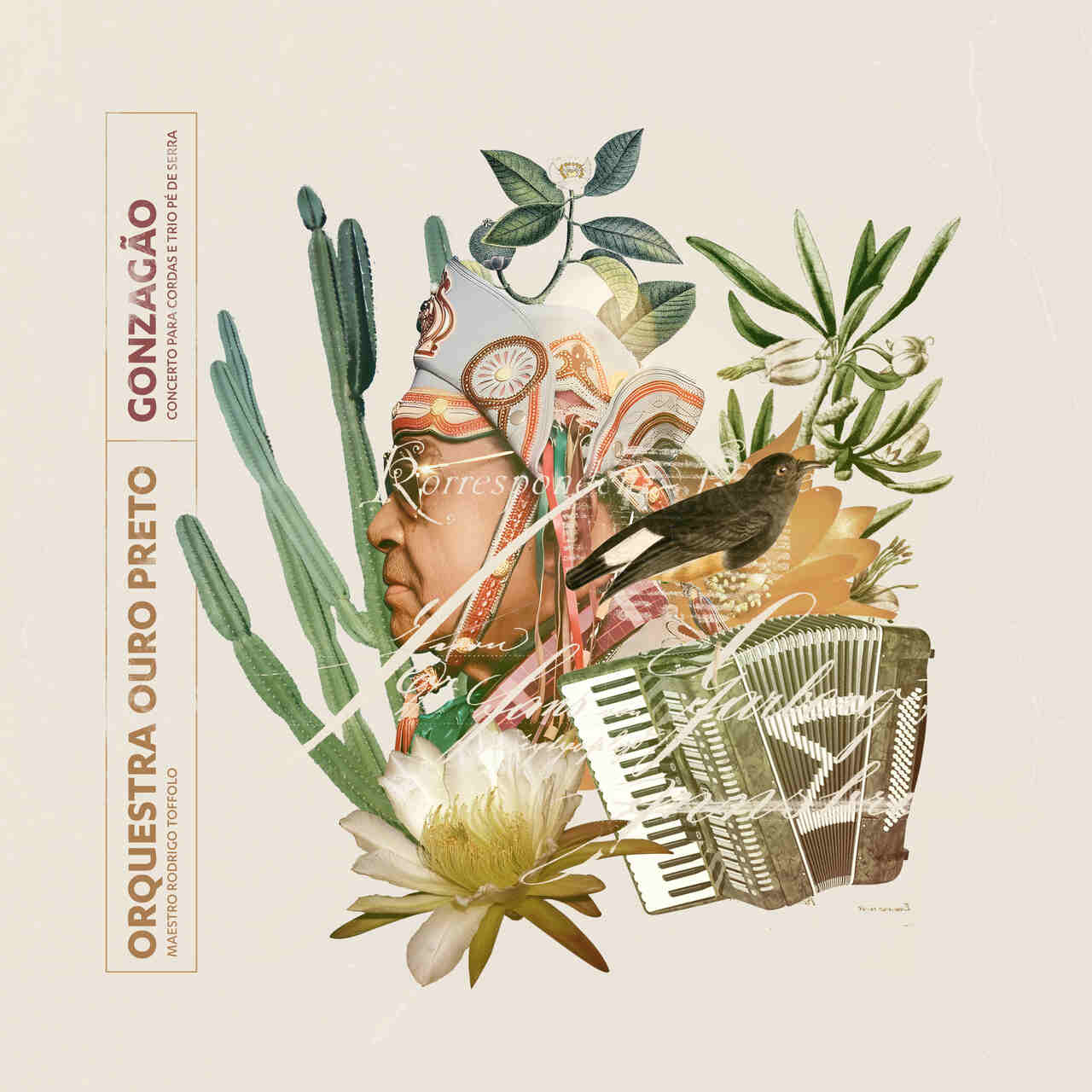 oop-25-Gonzaga-771o-CD-Cover_Easy-Resize.com_ Notícias