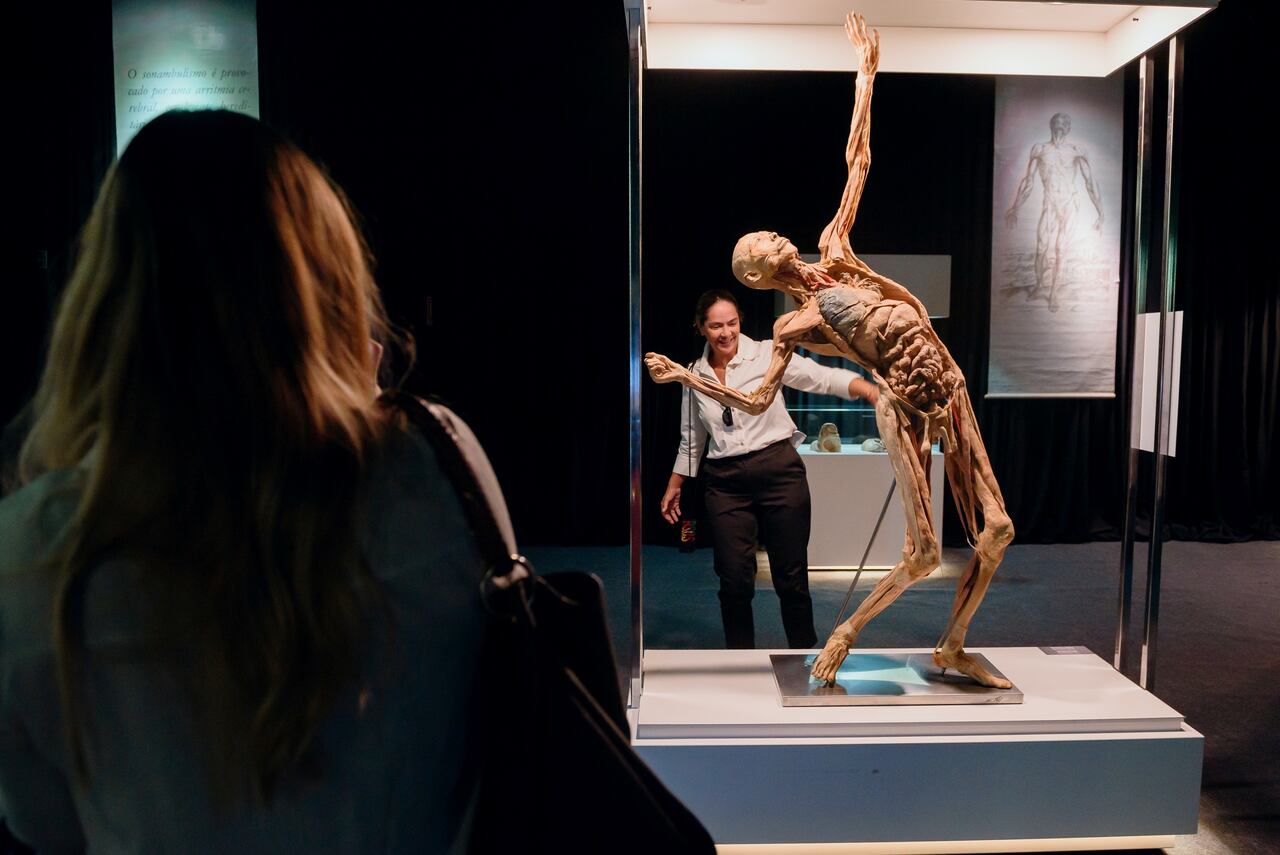 Exposicao-Human-Bodies-CREDITO-Diego-Walendorff-Petter-15_Easy-Resize.com_ Notícias