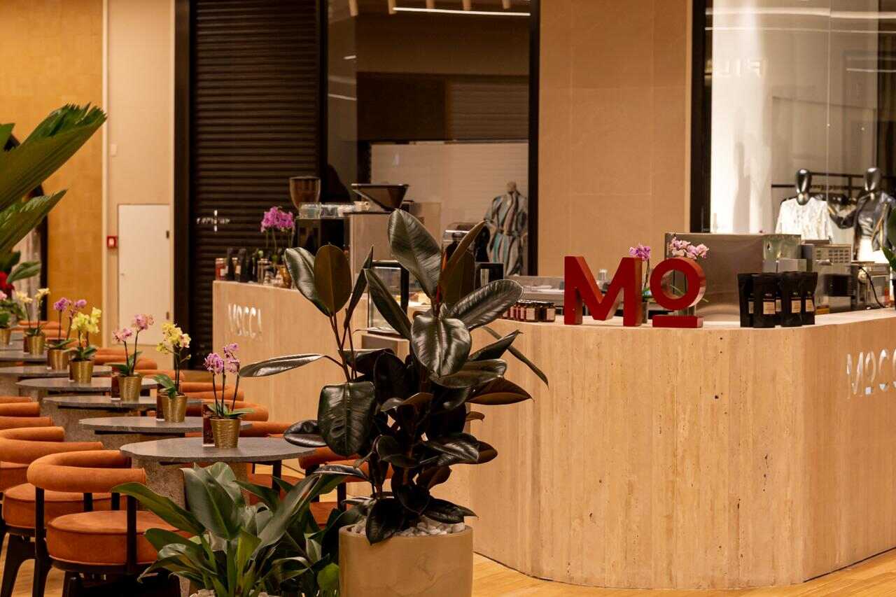 Acervo-Mocca-Coffe-2_Easy-Resize.com_ Notícias