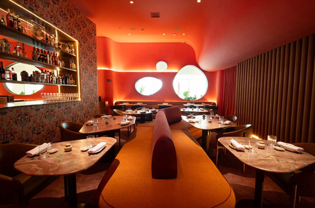 Captura-de-tela-2026-02-06-164535_Easy-Resize.com_ Notícias