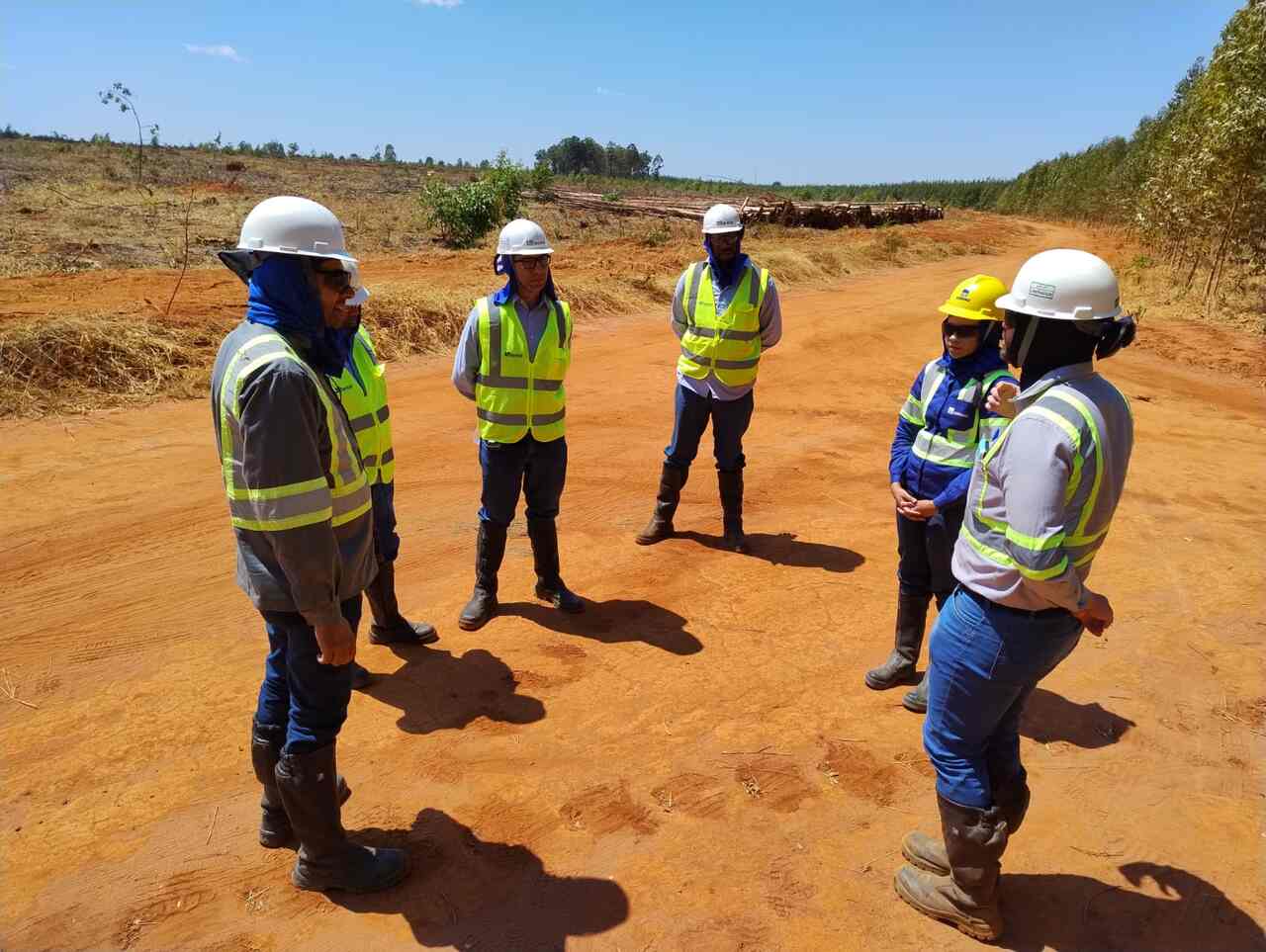 Reflorestar_Easy-Resize.com_ Notícias