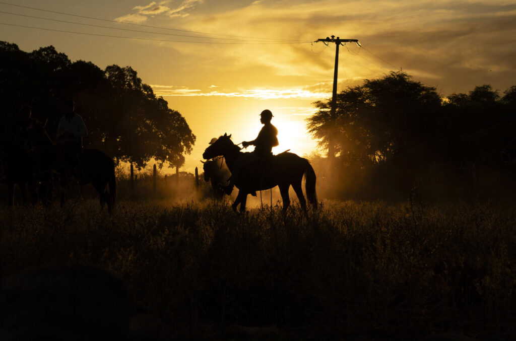 1_Easy-Resize.com_-1024x677 15º Festival de Fotografia de Tiradentes reúne expoentes nacionais e internacionais 