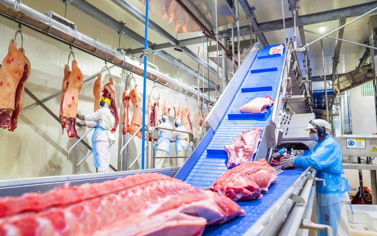 Divulgacao-Comunicacao-Saudali_Easy-Resize.com_ Notícias