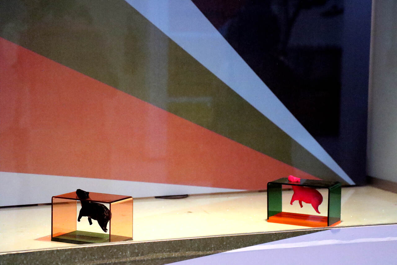 FestCurtas-Credito-Paulo-Lacerda-3_Easy-Resize.com_ Notícias