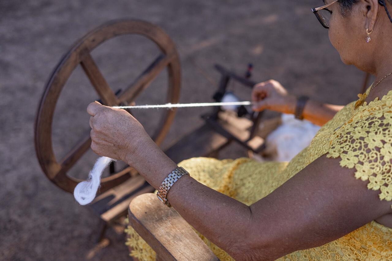 2-Imagem_Easy-Resize.com_ Notícias