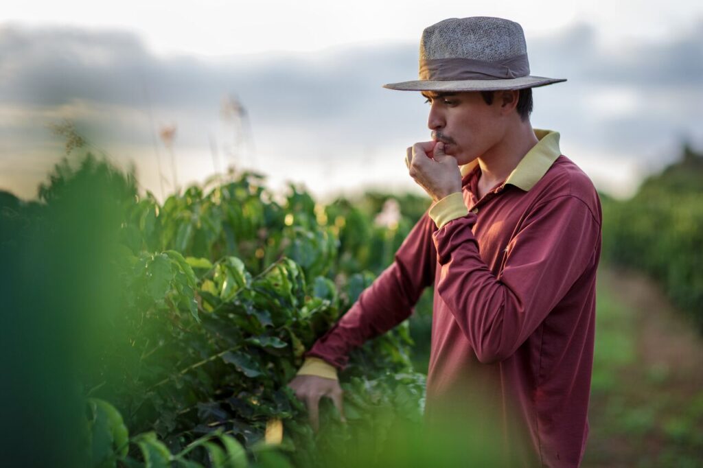 Brasis-Cefas-de-Origem-foto-por-Marcelo-Coelho-Personagem-2-Alan-Michel-Batista-Cerrado-Mineiro_Easy-Resize.com1_-1024x682 Exposição "BRASIS Cafés de Origem" que acontece em Carmo do Paranaíba e Viçosa celebra a identidade e a excelência das regiões cafeeiras do país
