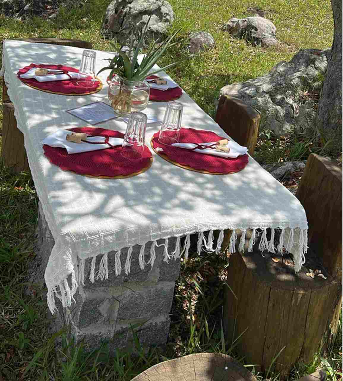 Captura-de-tela-2026-04-01-100619_Easy-Resize.com_ Notícias