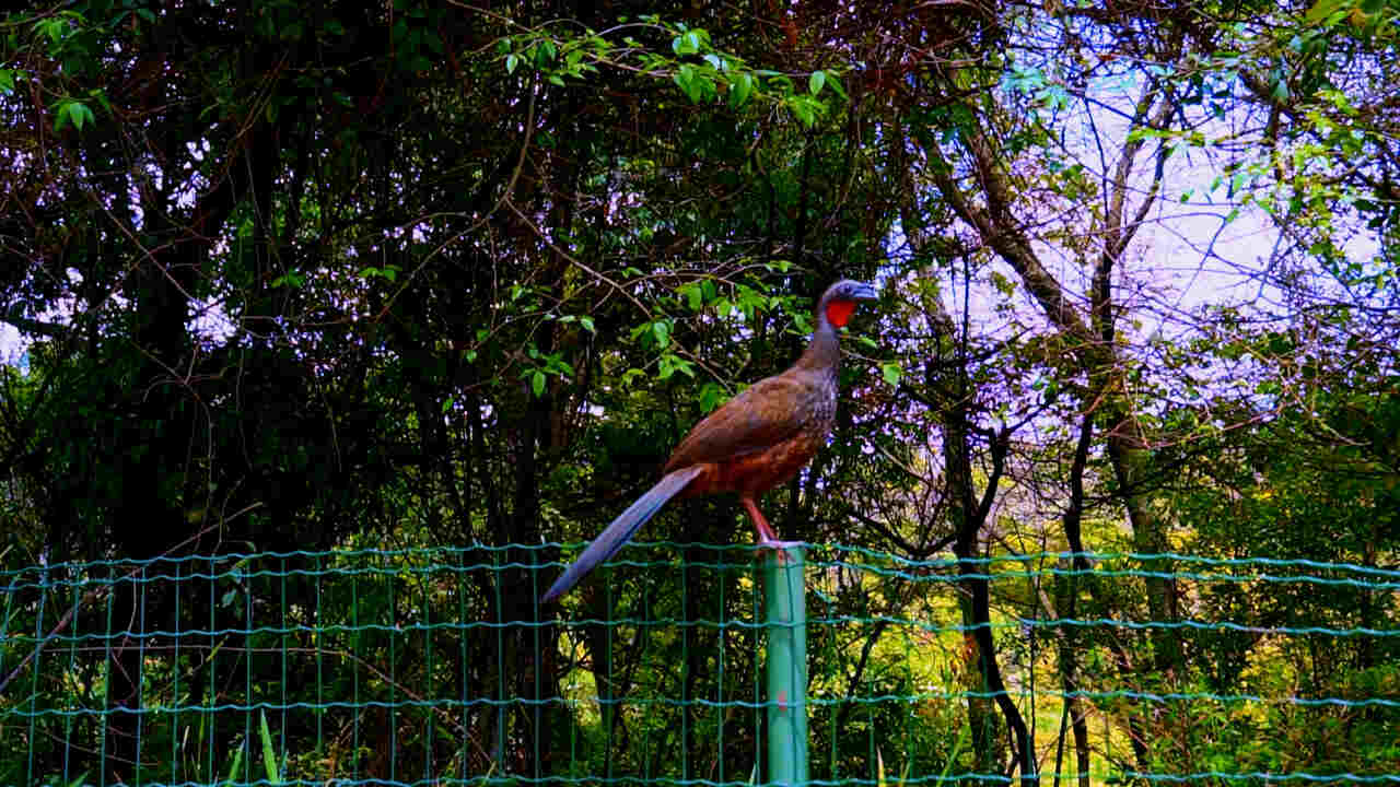 REDUTOS-DE-VIDA-CREDITO-ATLANTICO-FILMES-01-6.jpg_Easy-Resize.com_ Notícias