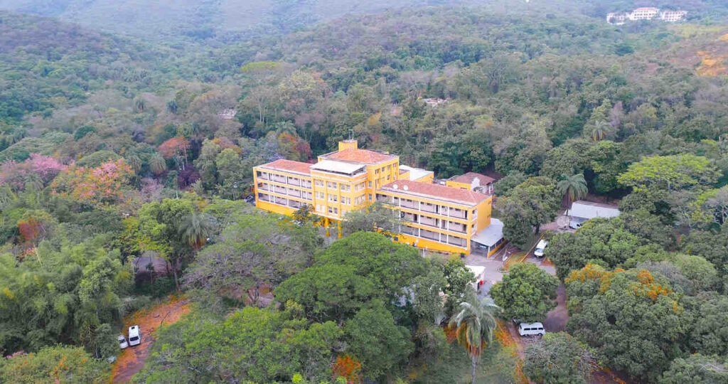 Pesquisa com participação do Hospital da Baleia é apresentada na Alemanha e aponta novos caminhos para recuperação de pacientes com câncer