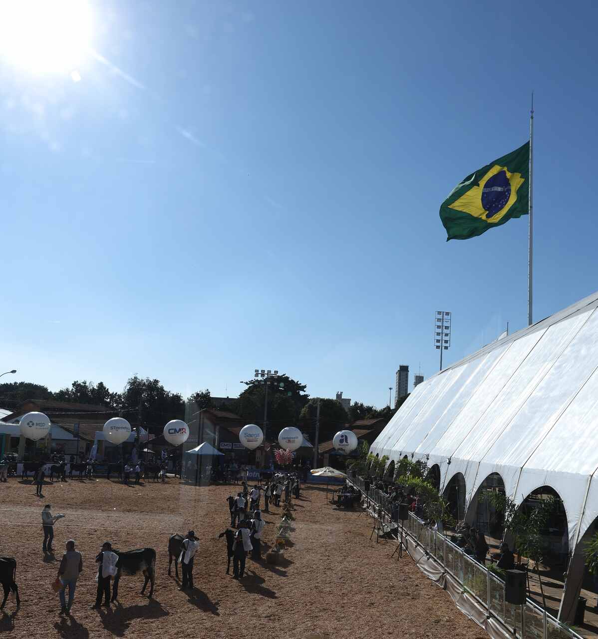 Megaleite-2026_Easy-Resize.com_ Notícias